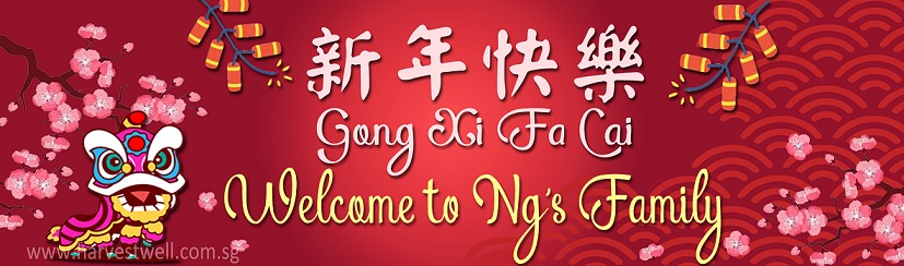 Chinese New Year Script Customized Banner Chinese New Year Script Customized Banner